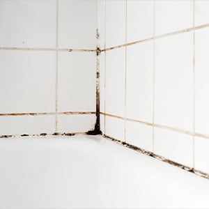 shower-bath-mold-mildew-damage