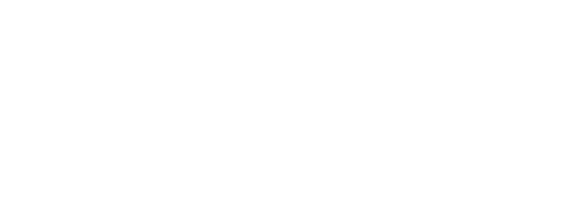 WSH-20thAnniversary_White-Full-Logo